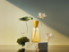 The Ritual of Seshen Home Perfume Спрей-ароматизатор для дому 12446 фото 2